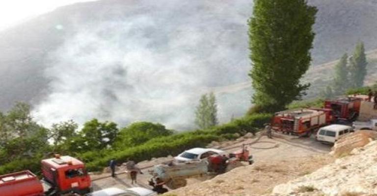 حريق يأتي على 350 دونم أعشاب بالقرب من محمية ضانا