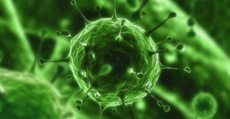 3 إصابات جديدة بكورونا 3 إصابات جديدة بكورونا