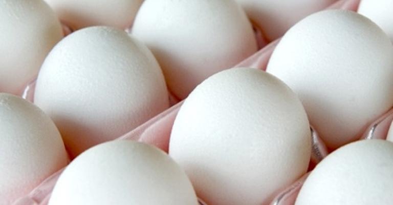 اتحاد المزارعين يستبعد انخفاض سعر البيض
