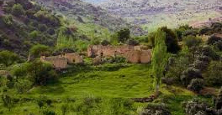 استمتع بالرحلات وحافظ على البيئة