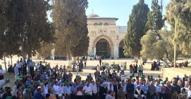 اقتحام الأقصى من بابي المغاربة والسلسلة اقتحام الأقصى من بابي المغاربة والسلسلة