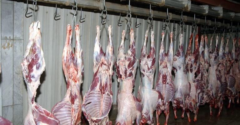 انخفاض بعدد ذبحيات مسلخ الأمانة انخفاض بعدد ذبحيات مسلخ الأمانة