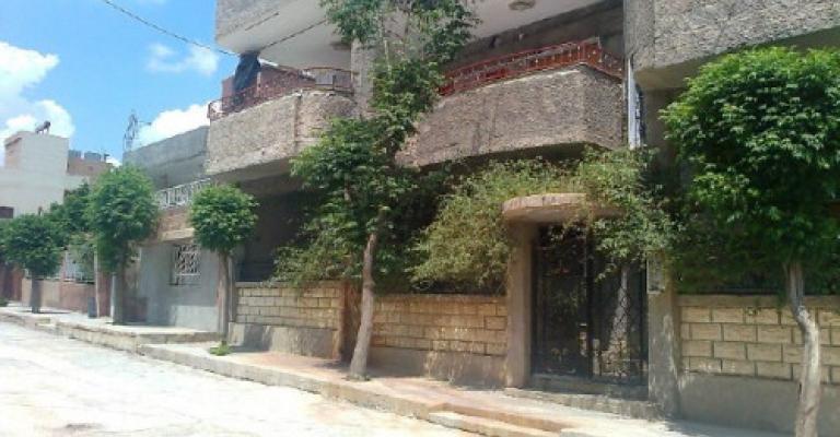 بلدية الزرقاء تزود الاهالي بالاشجار لزراعتها امام منازلهم