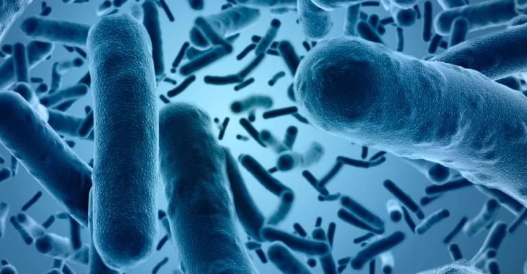 الصحة تتخذ إجراءات منعاً لانتقال الكوليرا للأردن