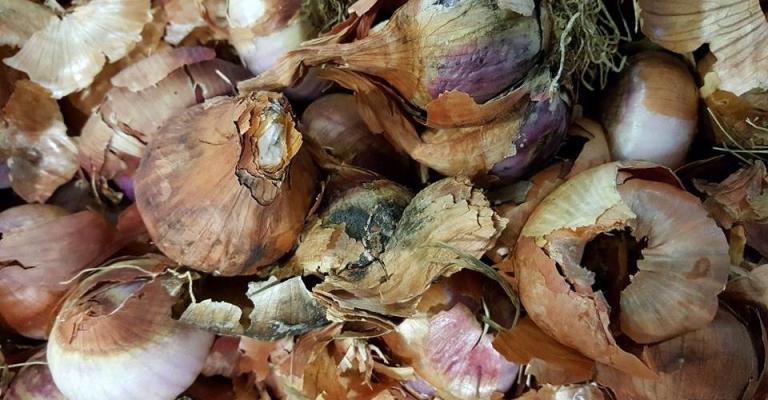 تردي جودة بعض الخضار في عمّان بالتزامن مع ارتفاع أسعارها- صور تردي جودة بعض الخضار في عمّان بالتزامن مع ارتفاع أسعارها- صور