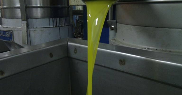 الزراعة تتوقع سعراً لتنكة الزيت من 75-80 دينار