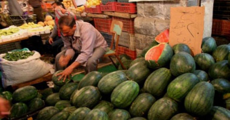 "الأمانة" تدعو اصحاب معرشات البطيخ لإزالتها خلال اسبوعين