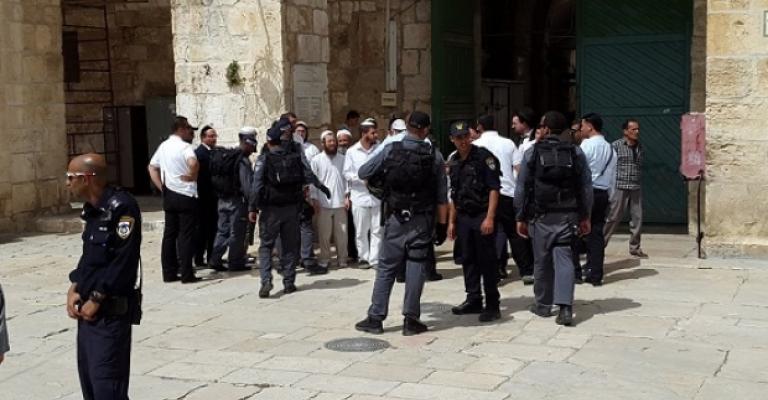 مجموعات كبيرة من المستوطنين تقتحم الأقصى