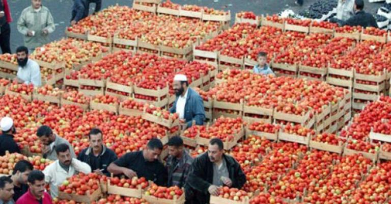 الصقيع يرفع أسعار الخضار والفواكه