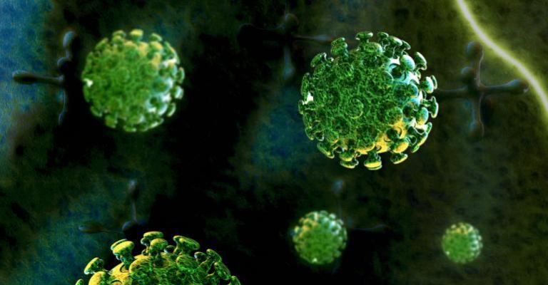 الصحة: الأردن خالياً من "الكورونا"