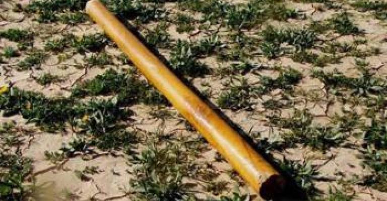 اعتداء بالعصيّ على معلم في الرمثا