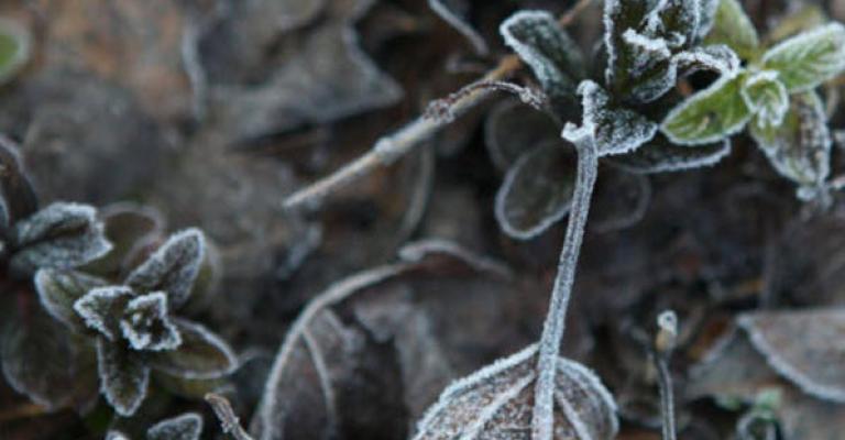 أجواء باردة وتحذيرات من تشكّل الصقيع