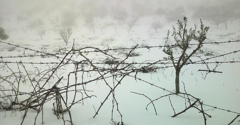 أجواء باردة وثلوج فوق المرتفعات