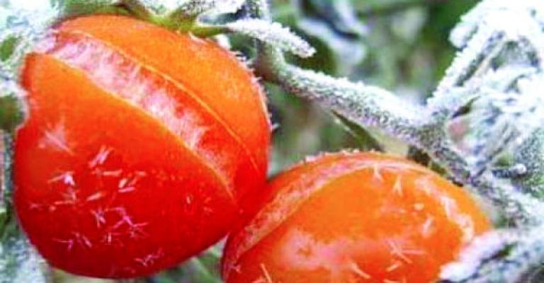 اتحاد المزارعين يطالب بإشراكه في قرار التعويض اتحاد المزارعين يطالب بإشراكه في قرار التعويض