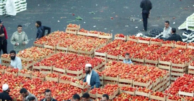 الخضار في انخفاض والبندورة بـ 7 قروش الخضار في انخفاض والبندورة بـ 7 قروش