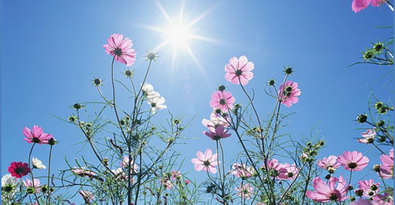 أجواء دافئة وأمطار بداية الأسبوع أجواء دافئة وأمطار بداية الأسبوع