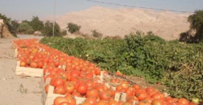 "اتحاد المزارعين" يطالب بحلول لتدني الأسعار