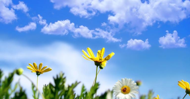 أجواء لطيفة وانخفاض ملموس على الحرارة