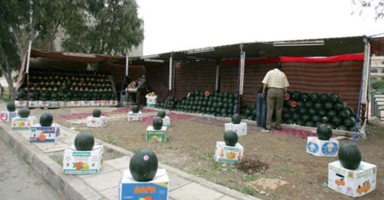 بدء استقبال طلبات تصاريح بيع البطيخ والشمام بدء استقبال طلبات تصاريح بيع البطيخ والشمام