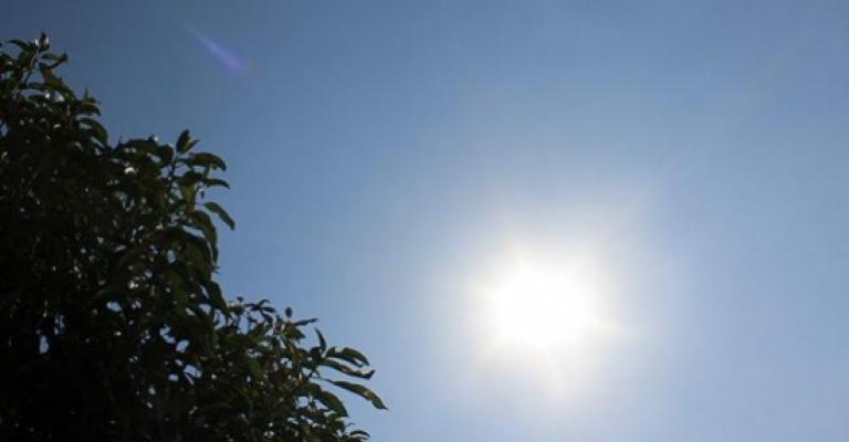 أجواء دافئة والحرارة في عمّان 27 أجواء دافئة والحرارة في عمّان 27