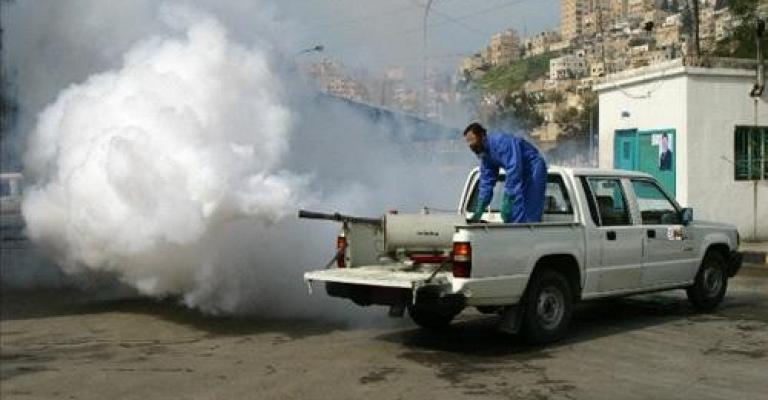الأمانة تبدأ حملة مكافحة الحشرات