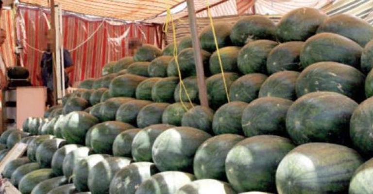 ارتفاعات طفيفة على أسعار الخضار... وترخيص 100 معرش بطيخ في عمان