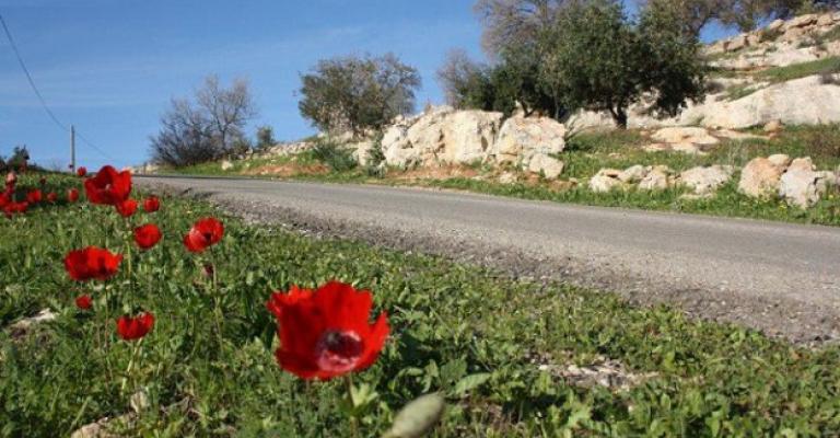 أجواء معتدلة في معظم مناطق المملكة