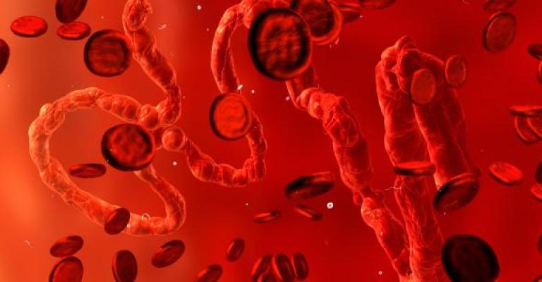 معاناة مرضى اللاشمانيا من اللاجئين السوريين في الأردن