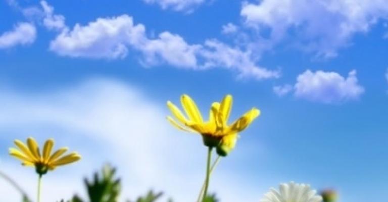 أجواء لطيفة اليوم وارتفاع الحرارة الاحد والاثنين