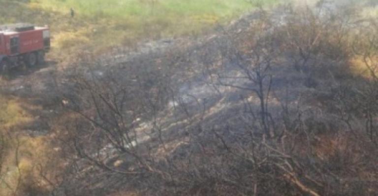 حريق أعشاب جافة في إربد