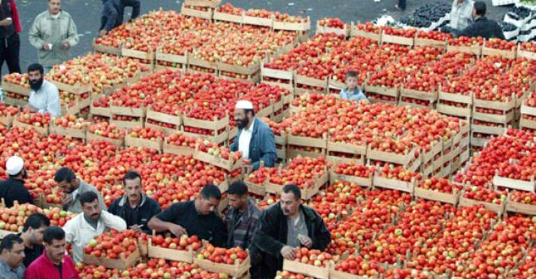 ارتفاع أسعار بعض أصناف الخضار في "مركزي عمّان"