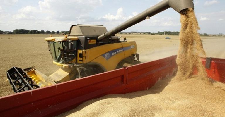 الأردن ينفي تغيير شروط استيراد القمح