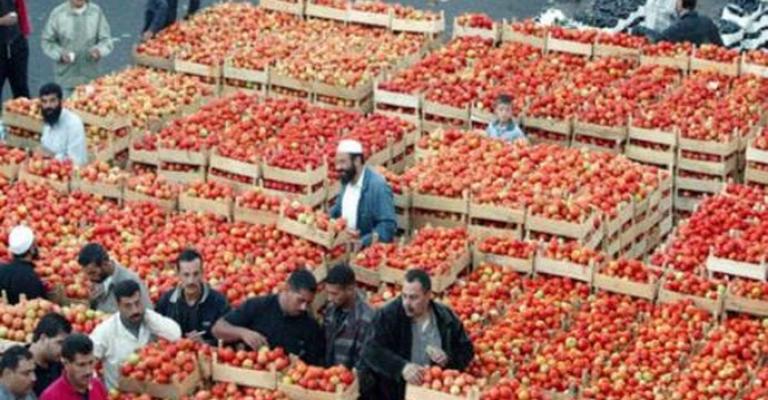 انخفاض سعر البندورة.. والكيلو بـ 70 قرشاً في "مركزي عمّان"