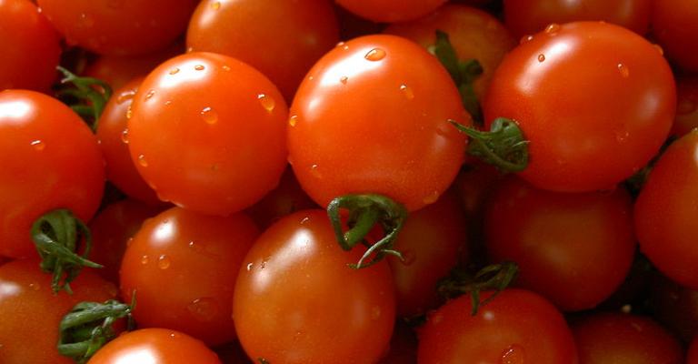 كيلو البندورة بالجملة 70 قرشاً