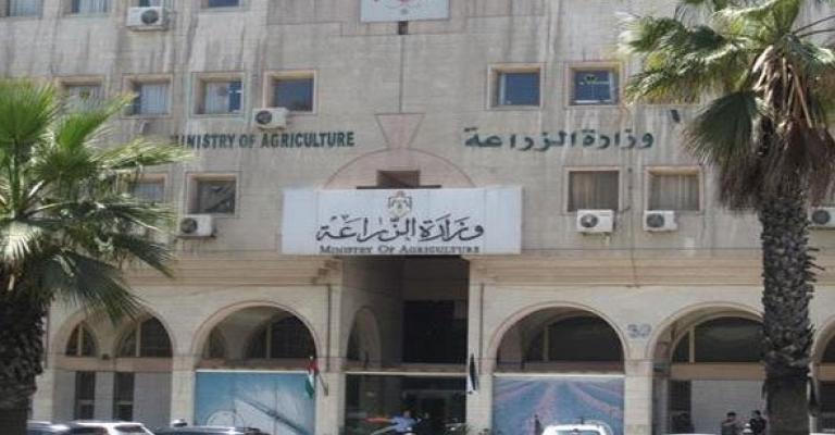 آخر موعد لاستلام القمح والشعير من المزارعين الأحد آخر موعد لاستلام القمح والشعير من المزارعين الأحد