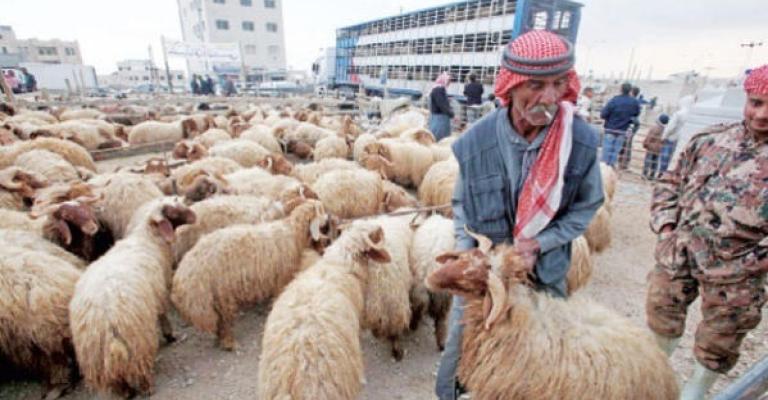 الأمانة تحدد أماكن بيع وذبح الاضاحي