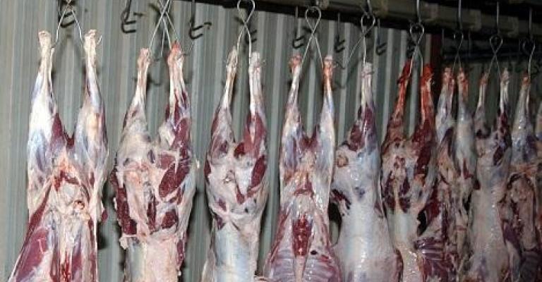 290 ألف دينار لتأهيل مسلخ عمان 290 ألف دينار لتأهيل مسلخ عمان