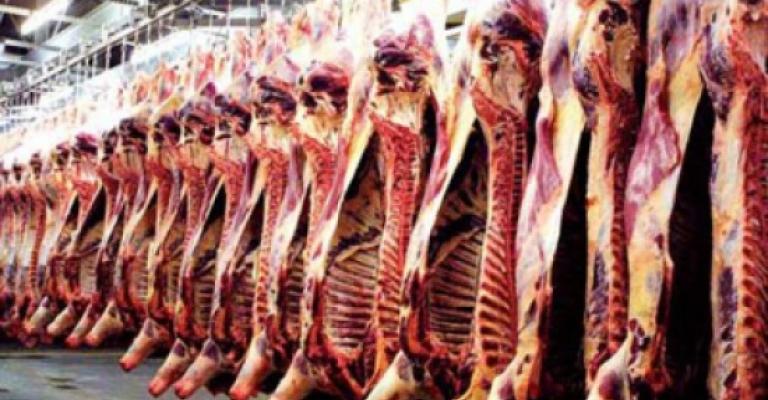 توزيع لحوم الأضاحي على سبعة الآف لاجئ في مريجيب الفهود توزيع لحوم الأضاحي على سبعة الآف لاجئ في مريجيب الفهود