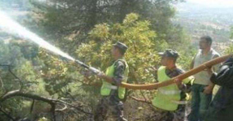 حريق أعشاب جافة وأشجار حرجية في الطفيلة