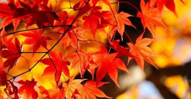 أجواء خريفية لنهاية الأسبوع