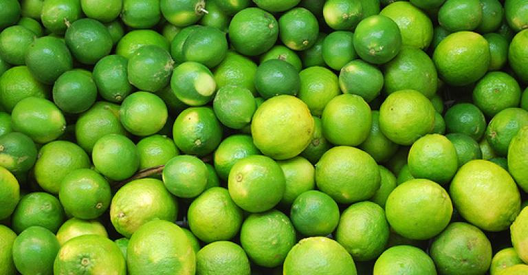 الليمون يفتتح موسم الحمضيات في الأسواق الليمون يفتتح موسم الحمضيات في الأسواق