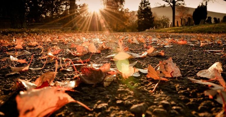 أجواء خريفيّة لمنتصف الأسبوع أجواء خريفيّة لمنتصف الأسبوع