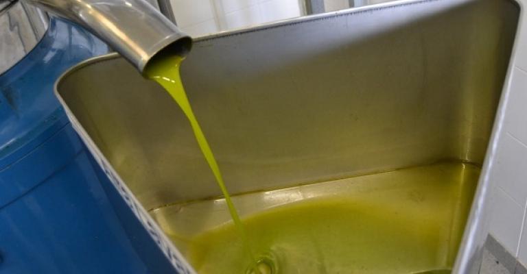 موسم زيت الزيتون... حالات غش وانخفاض في الإنتاج موسم زيت الزيتون... حالات غش وانخفاض في الإنتاج