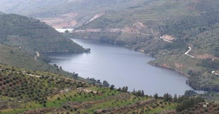 "وادي الأردن"