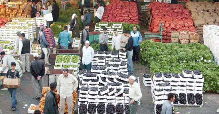 "مركزي عمّان" يستقبل أكثر من نصف منتجات المملكة البستانيّة "مركزي عمّان" يستقبل أكثر من نصف منتجات المملكة البستانيّة