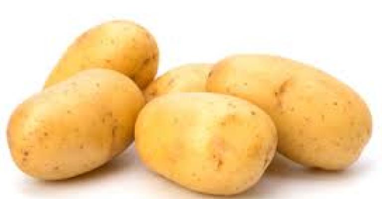 الزراعة تبحث استيراد البطاطا من الخارج الزراعة تبحث استيراد البطاطا من الخارج