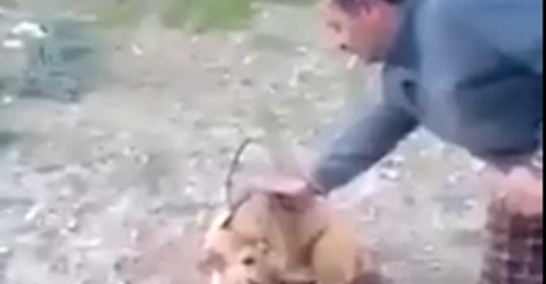 أردني يحرق كلبا ويثير جدلا في مواقع التواصل (شاهد) أردني يحرق كلبا ويثير جدلا في مواقع التواصل (شاهد)