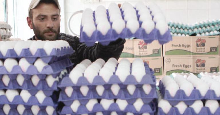 تحديد سقوف سعرية لمادة بيض المائدة تحديد سقوف سعرية لمادة بيض المائدة