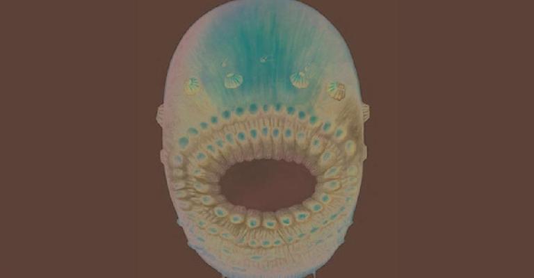 علماء: أقدم أسلاف الإنسان كان قبيحا وبفم ضخم