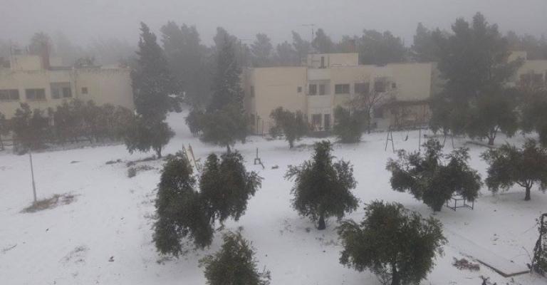 تساقط كثيف للثلوج بالمزار الجنوبي